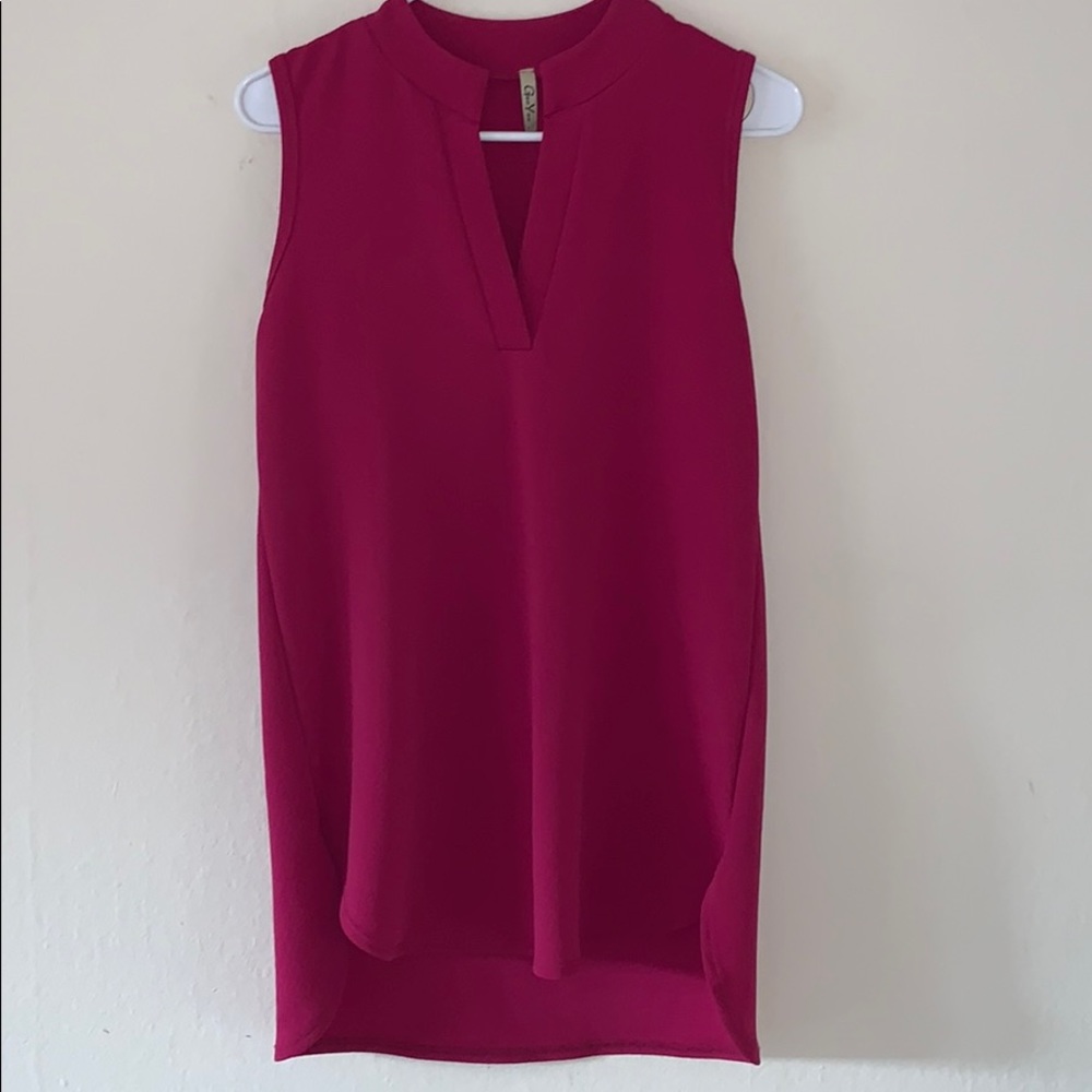 Goo Yoo Sleeveless V-Neck Tunic